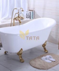 BỒN TẮM CHÂN RỒNG TATA BTN6809