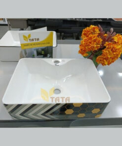 Chau lavabo dat ban TATA LB 6913