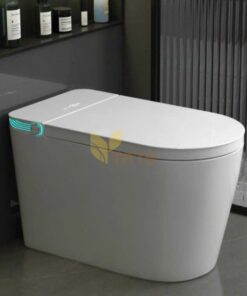 Bồn Cầu Thông Minh TATA BC6881