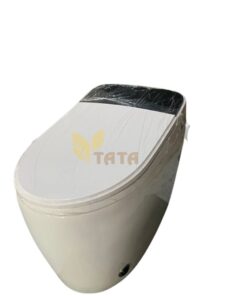 Bồn Cầu Thông Minh TATA BC6882